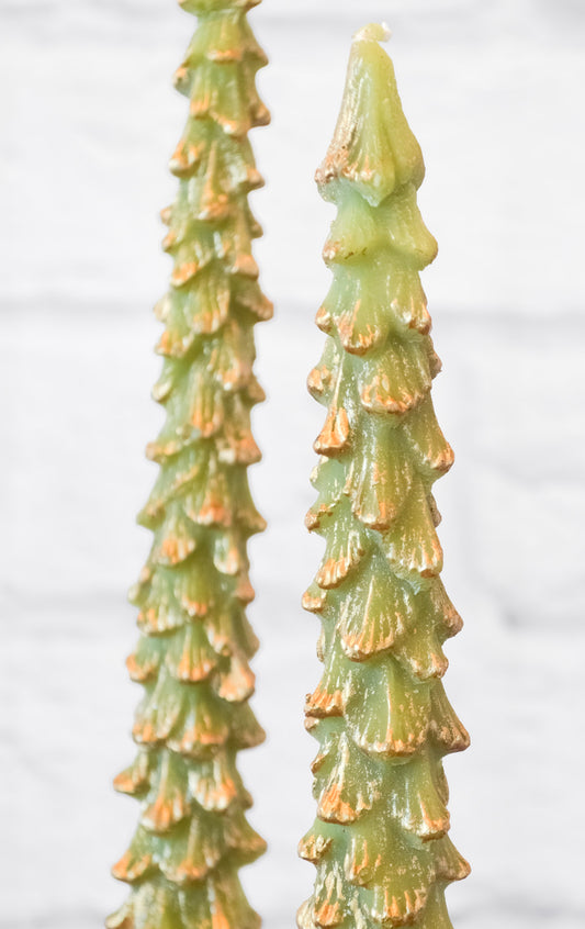 Set of 2 Festive Evergreen Candles w/ Gold Tips