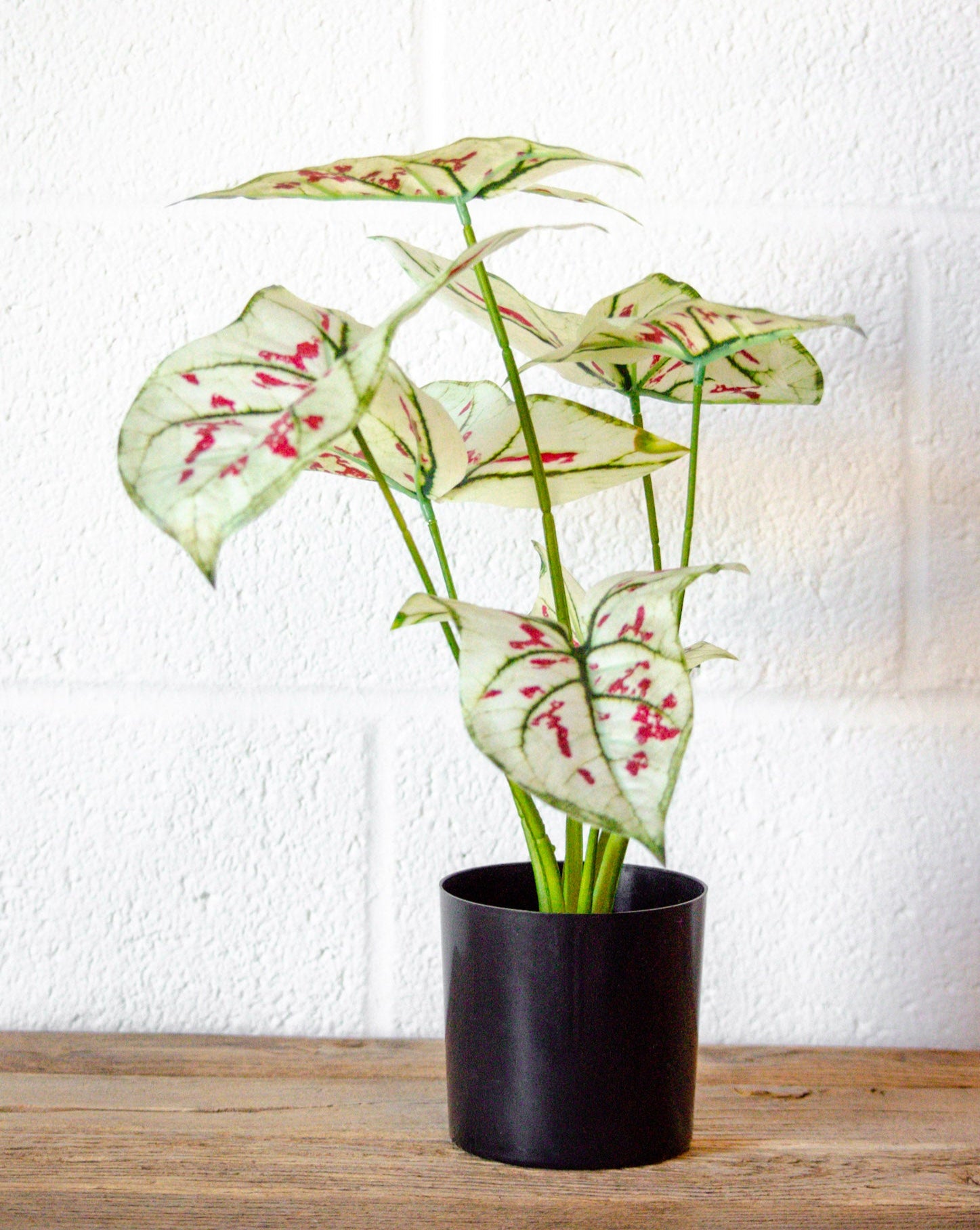 Faux Elephant Ear Potted Plant – JUX•TA•POSH HOME