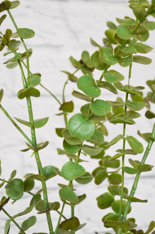 Faux Eucalyptus Stem