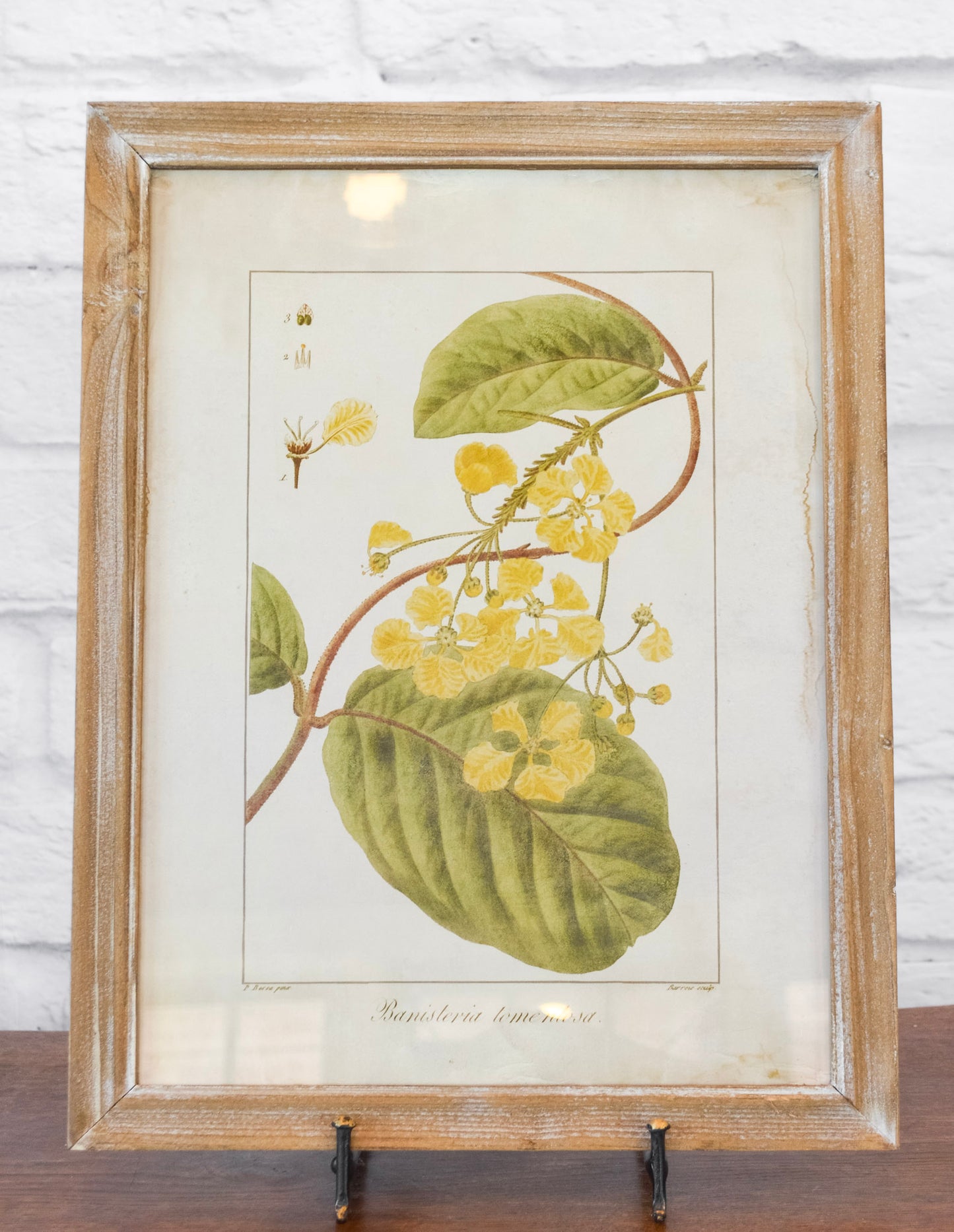 Wood Framed Floral Wall Decor