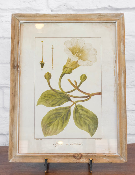 Wood Framed Floral Wall Decor