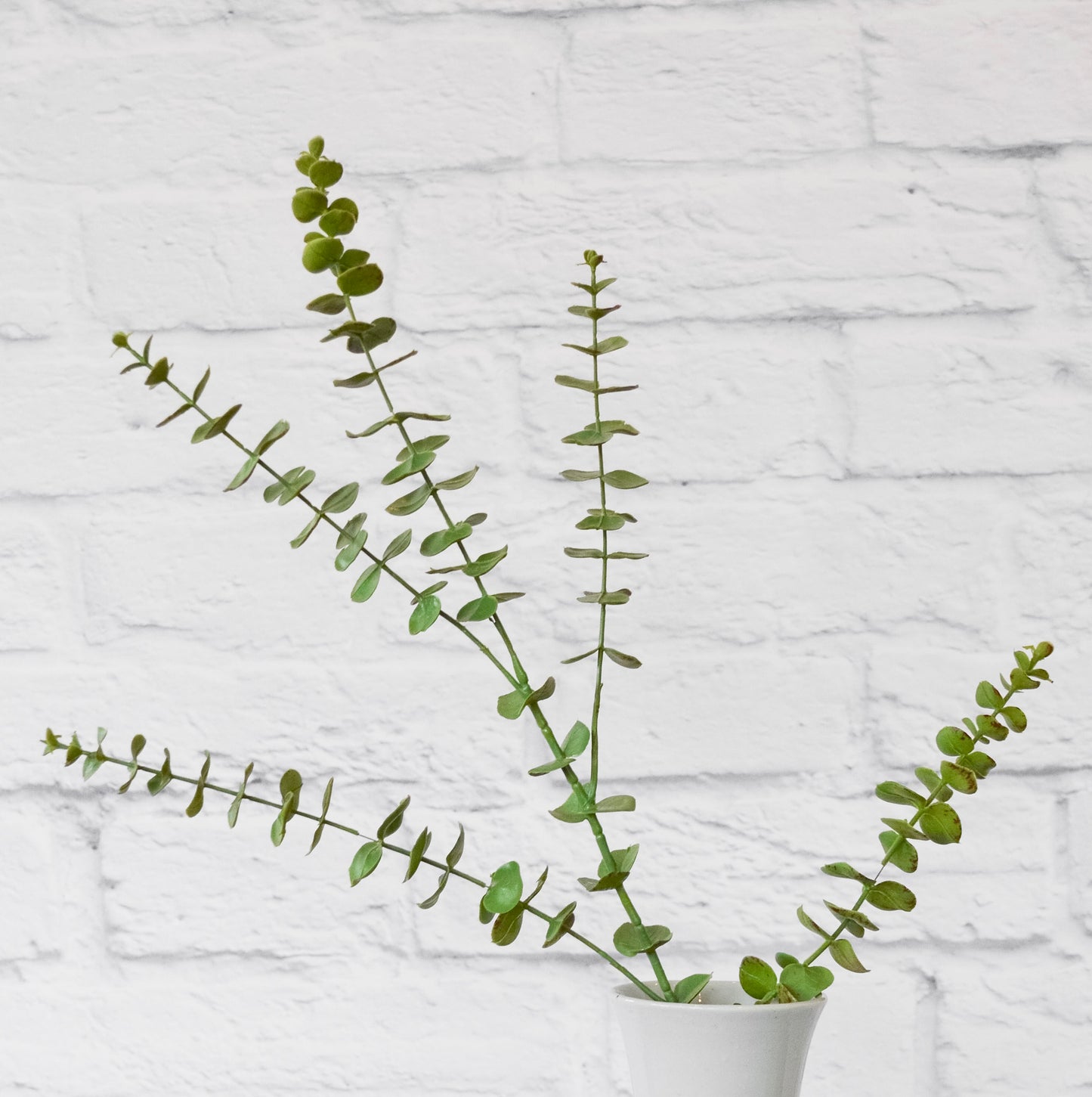 Faux Eucalyptus Stem