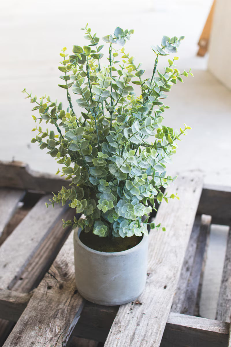 Faux Boxwood Sage in Cement Pot
