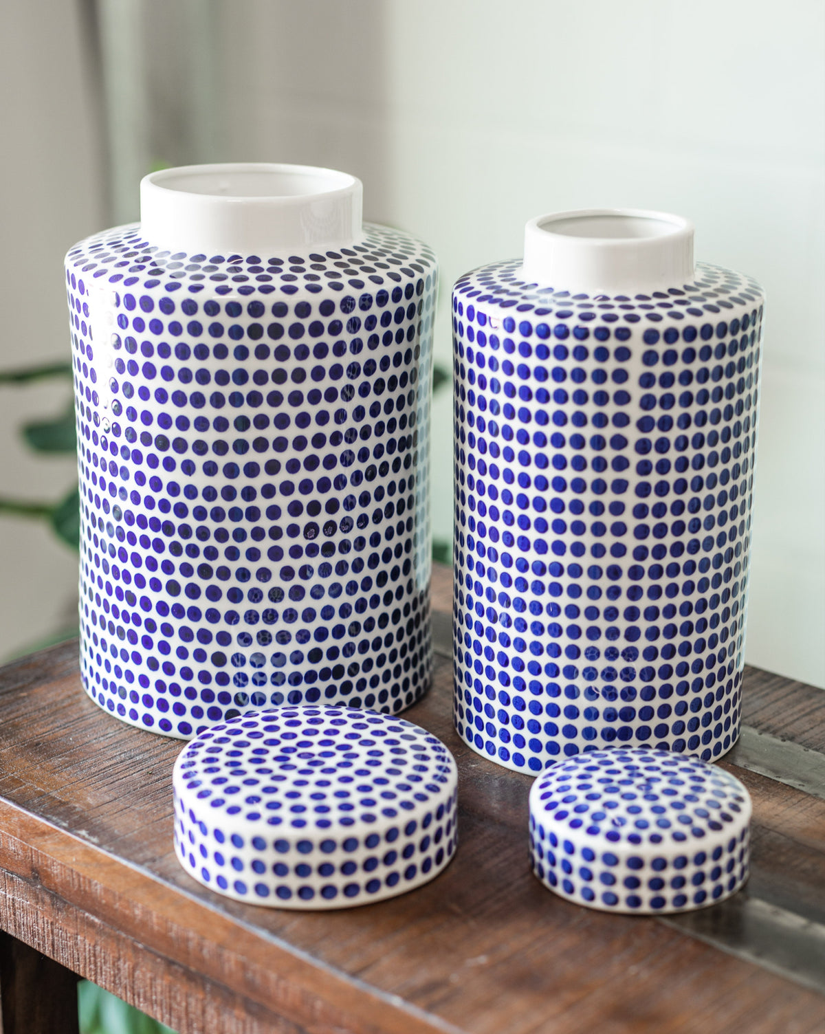 BB Dover Dot Collection