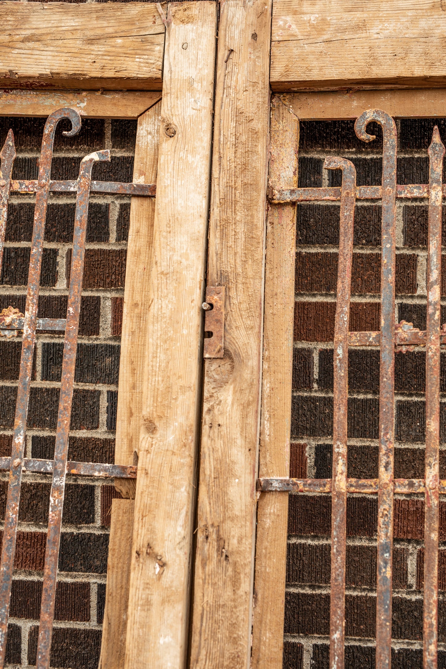 Edith - Primitive Iron Inset Wooden Doors