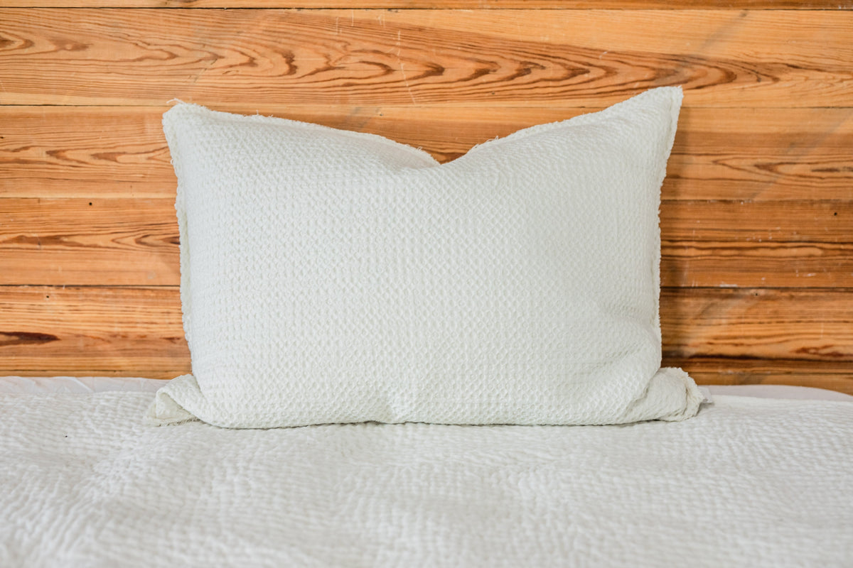 Zuma Big Pillow