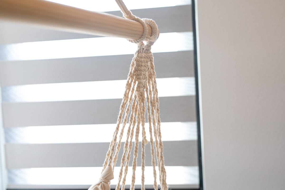 Canvas Hammock Chair