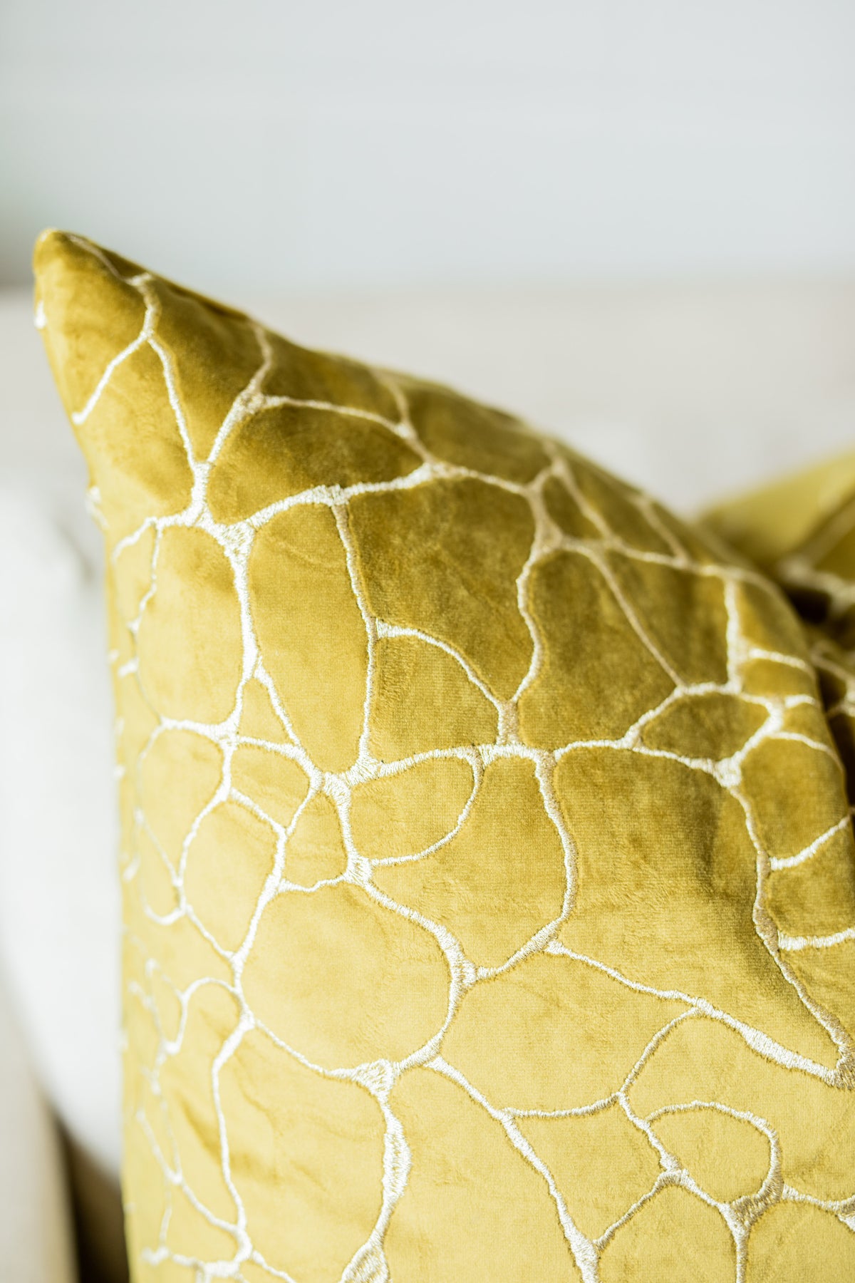 Dare Square Pillow