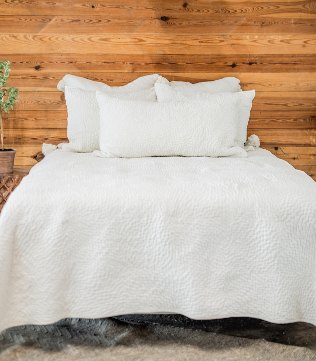 Vela Ivory Velvet Bedding Collection