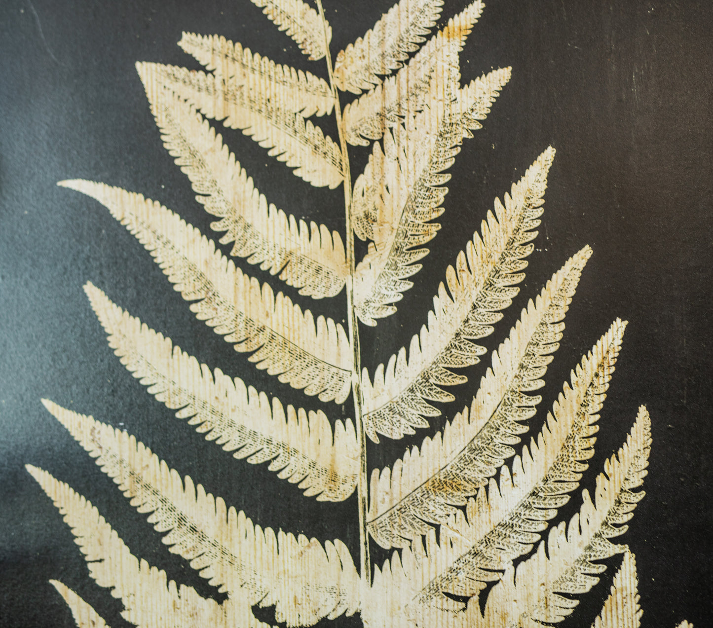 Wood Framed Vintage-Inspired Fern Print