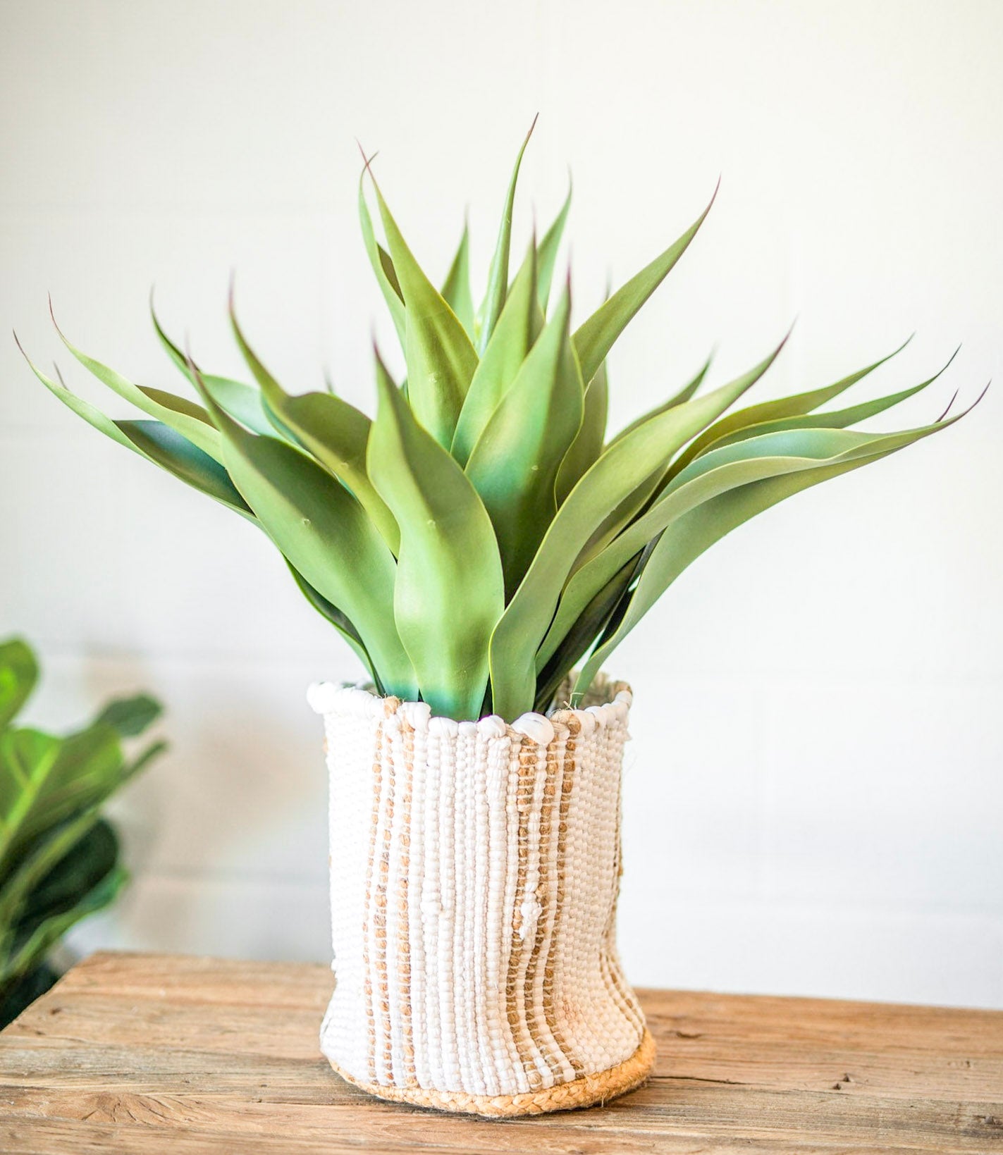 Faux Agave Plant in Pot