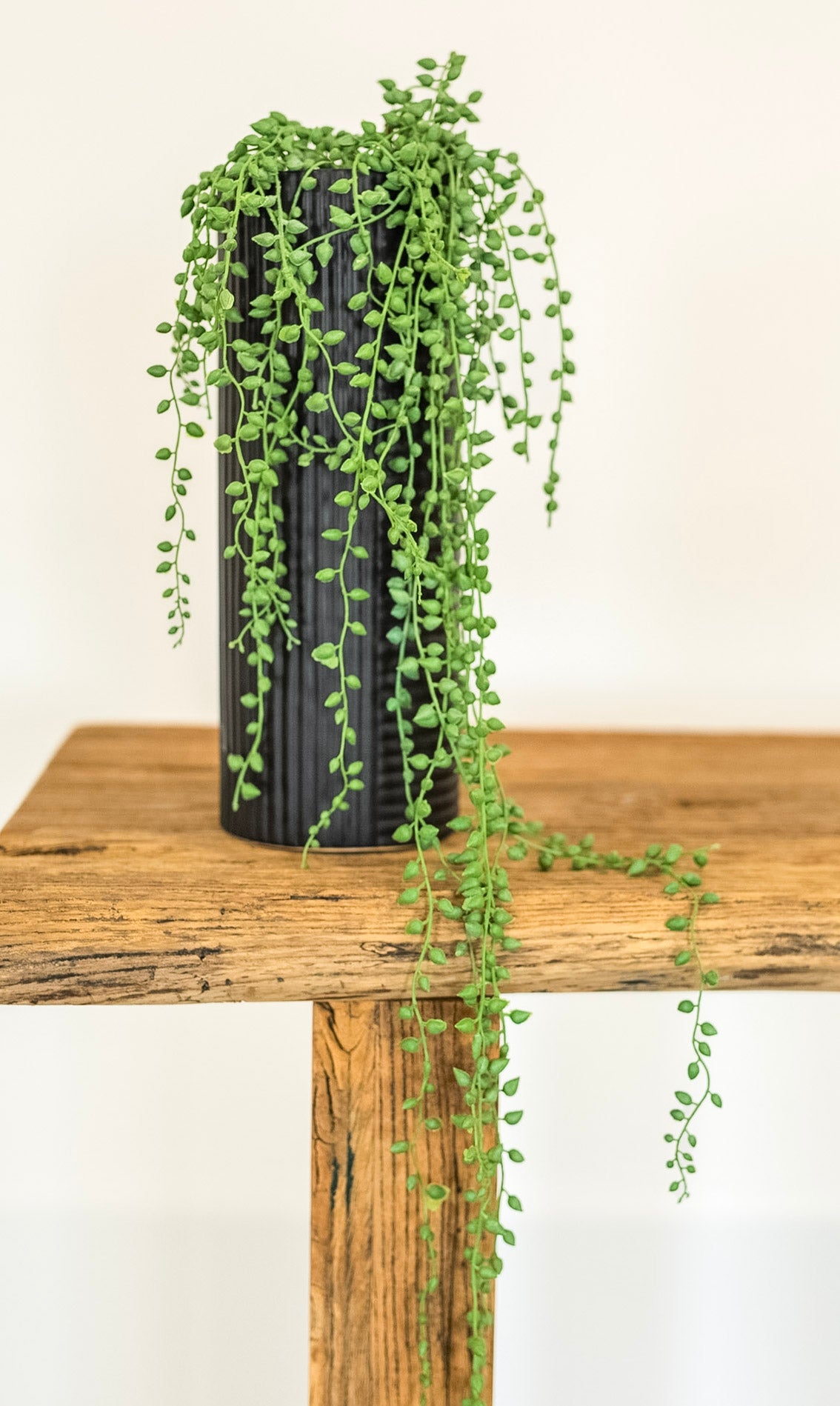 Faux String of Pearls