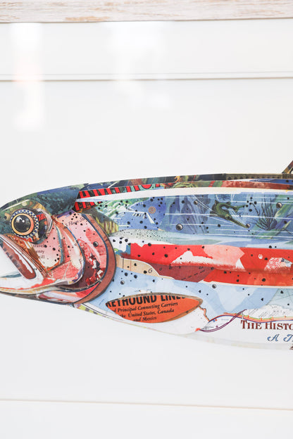 Coastal Fish Shadow Box