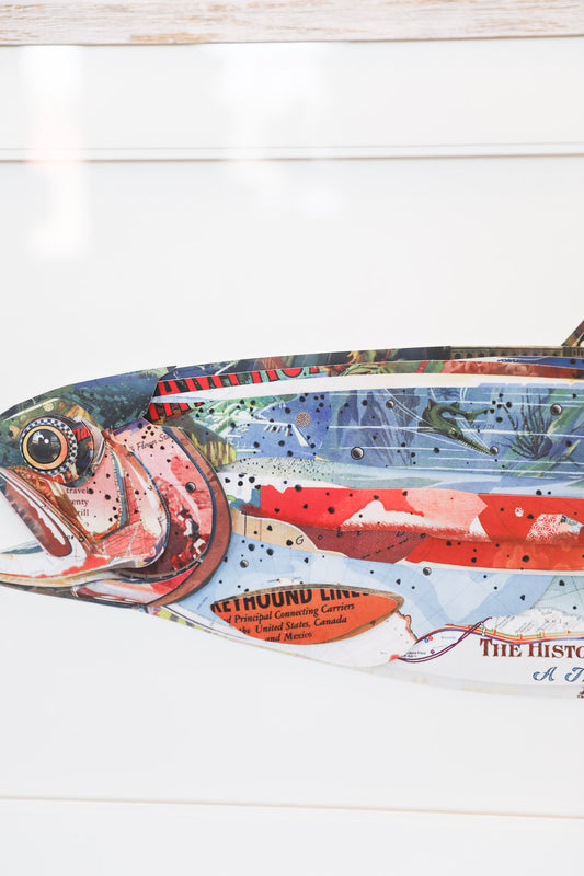 Coastal Fish Shadow Box