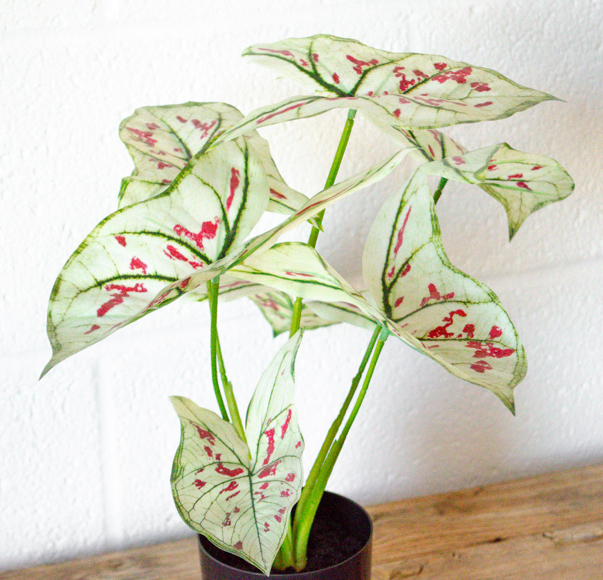 Faux Elephant Ear Potted Plant