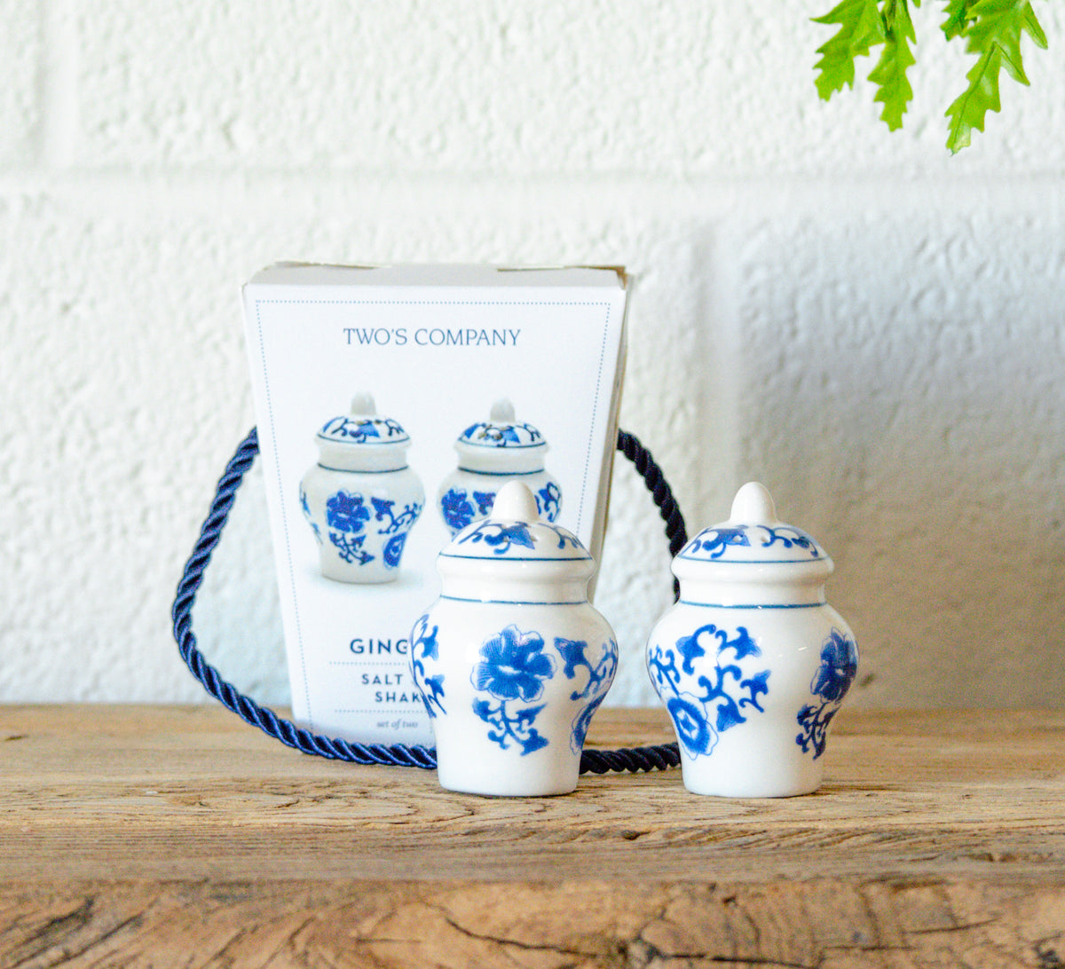 Mini Ginger Jar Salt & Pepper Shaker Set