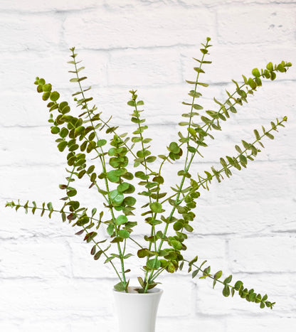 Faux Eucalyptus Stem