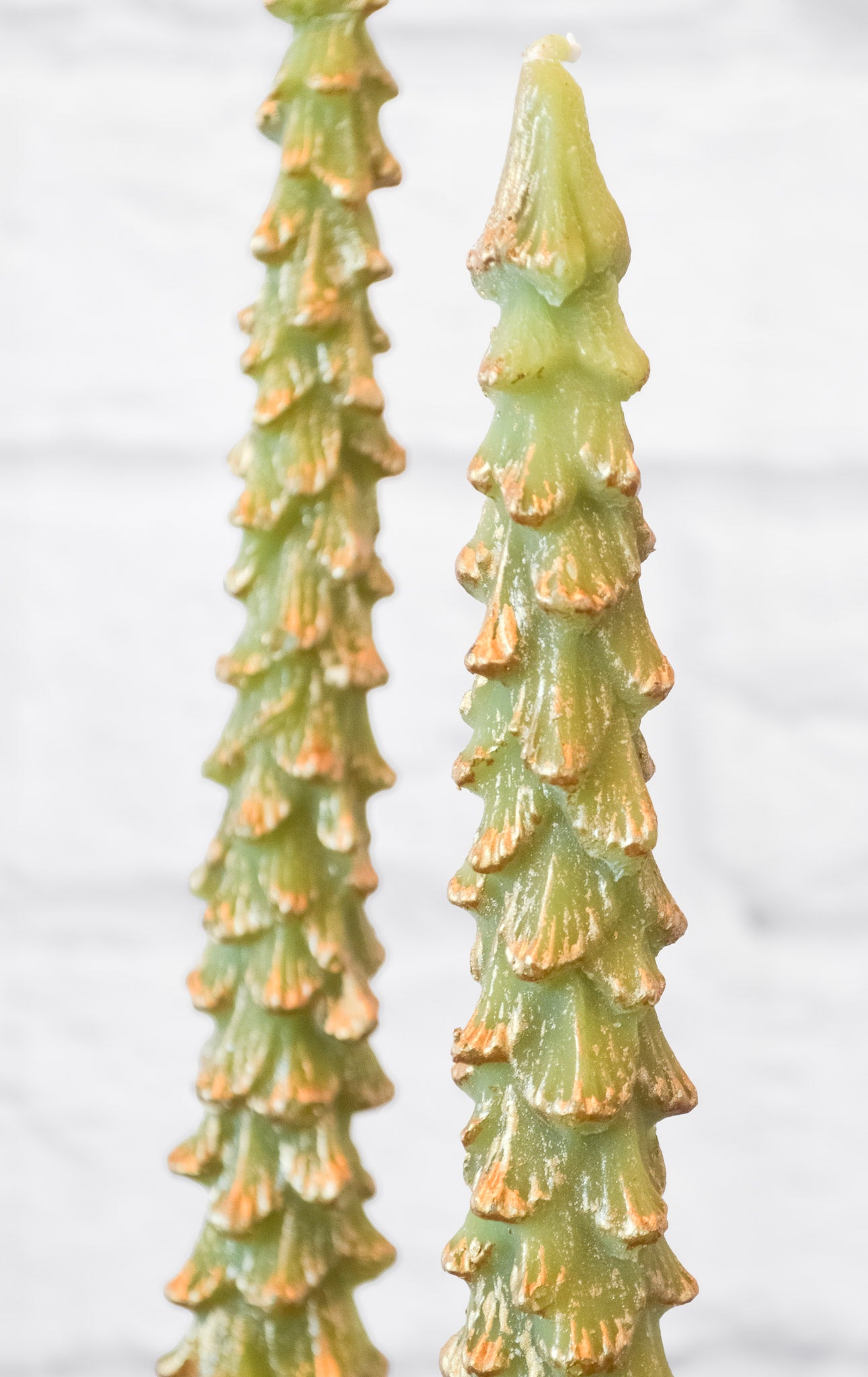 Set of 2 Festive Evergreen Candles w/ Gold Tips
