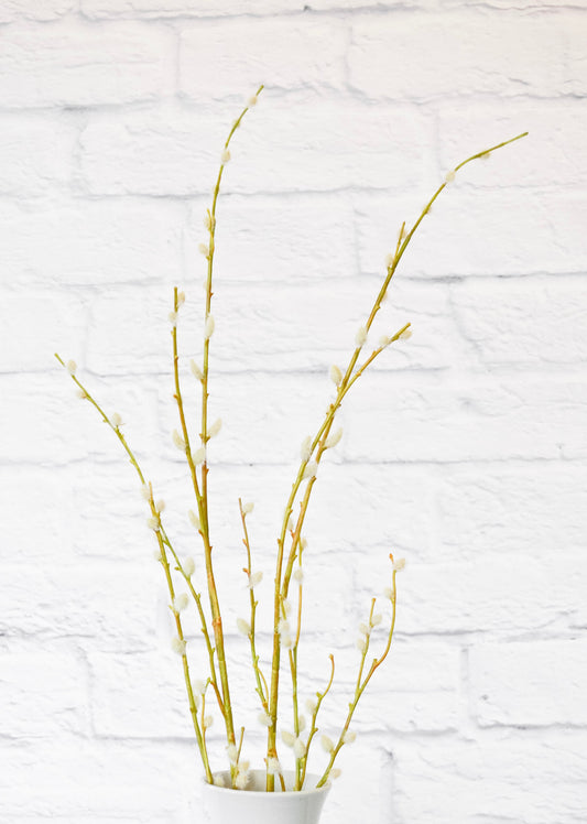 Faux Pussywillow Bundle