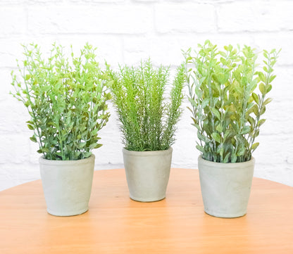 Faux Herb in Cement Pot