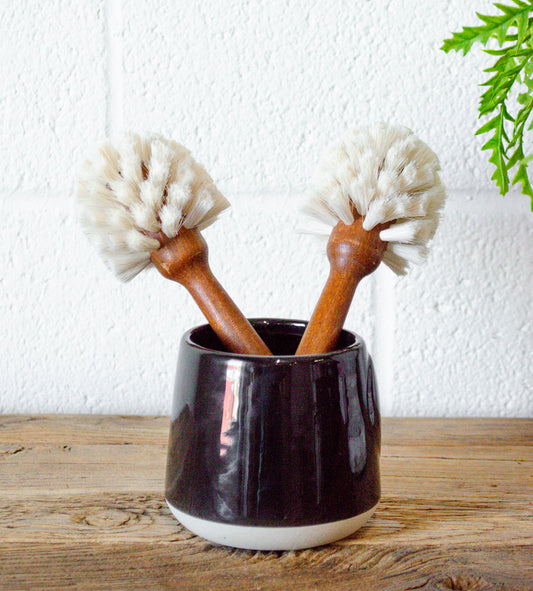Beech Wood Dish Brush