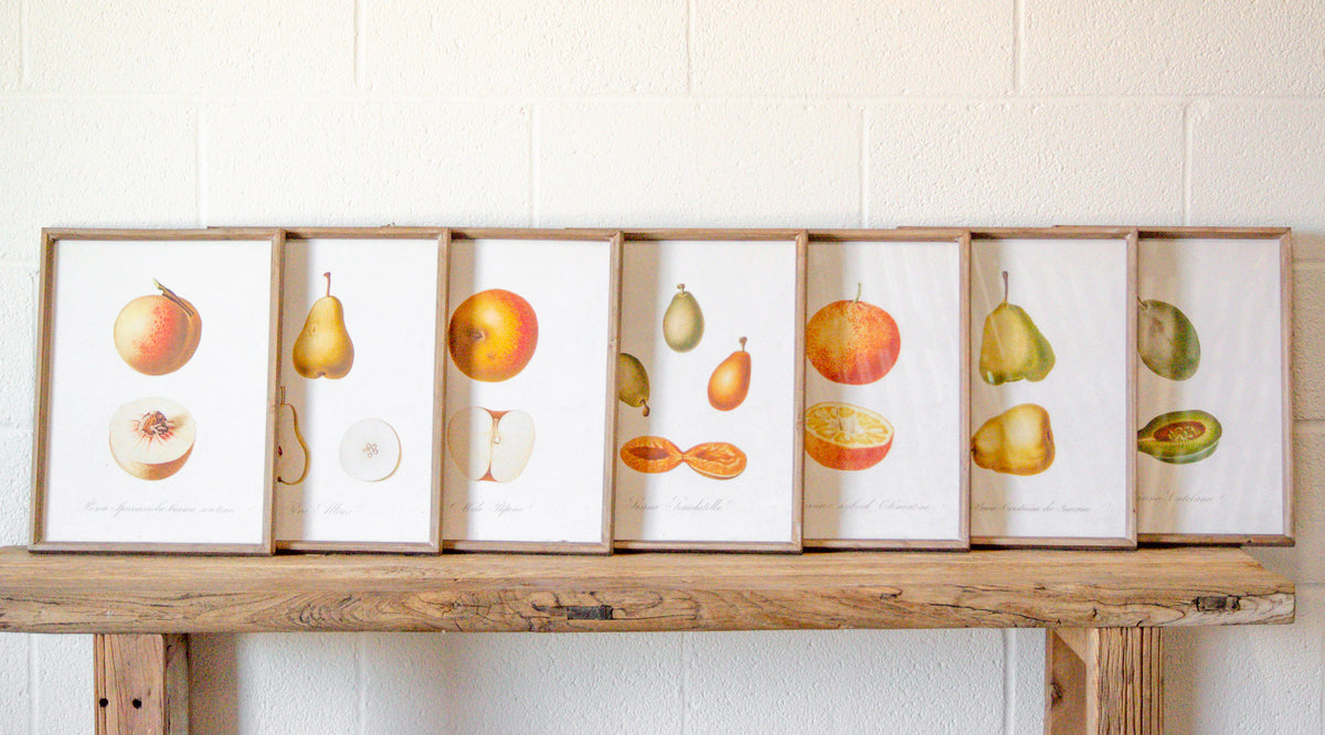 Vintage Inspired Wood & Glass Framed Fruit Print