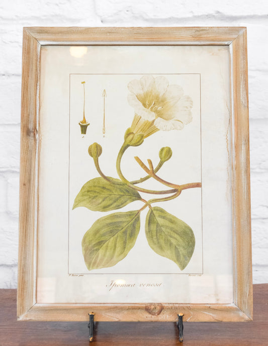 Wood Framed Floral Wall Decor