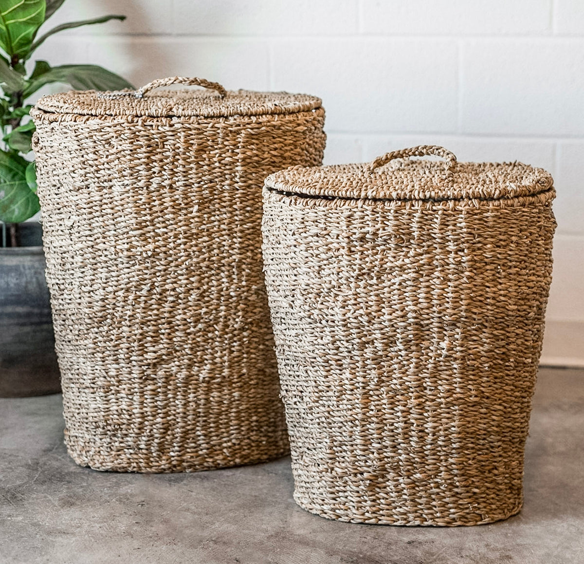 Lidded Seagrass Hamper w/ Lining