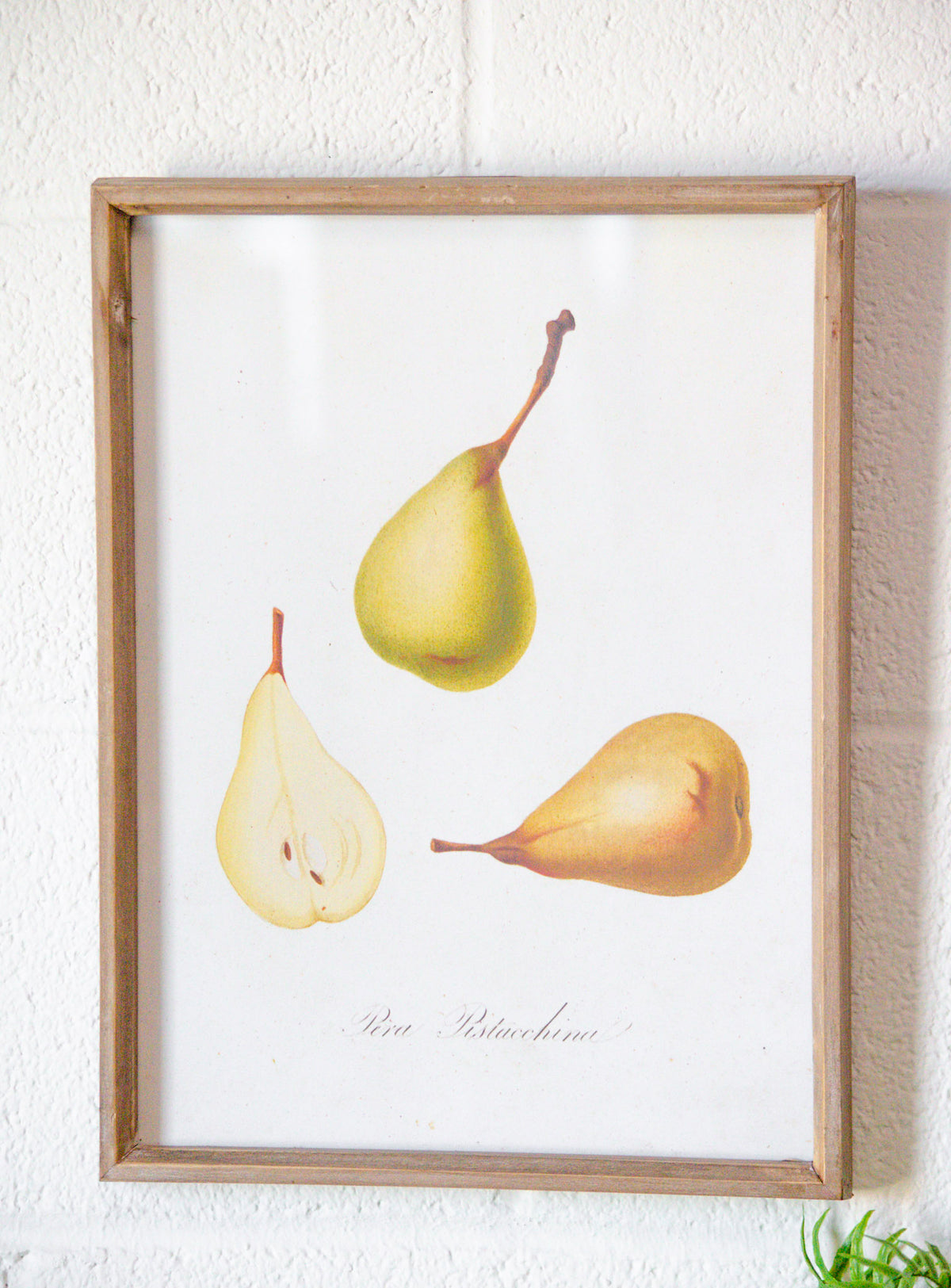 Vintage Inspired Wood & Glass Framed Fruit Print