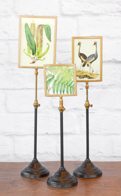 Adjustable Height Picture Frame