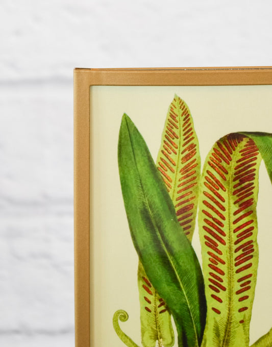 Adjustable Height Picture Frame