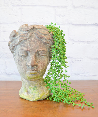 Anthemia Rustic Bloom Planter