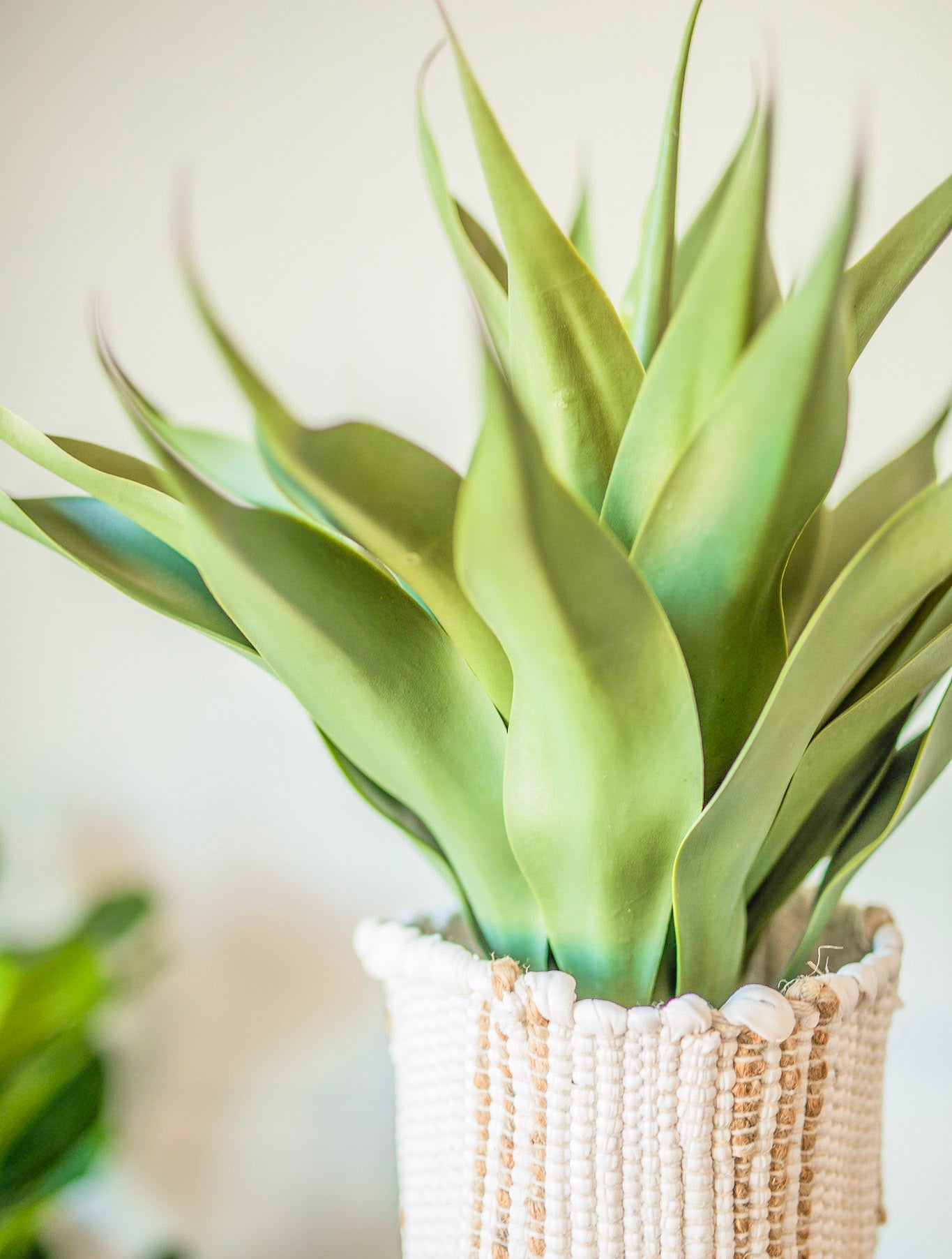 Faux Agave Plant in Pot