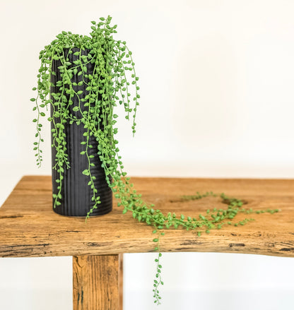 Faux String of Pearls