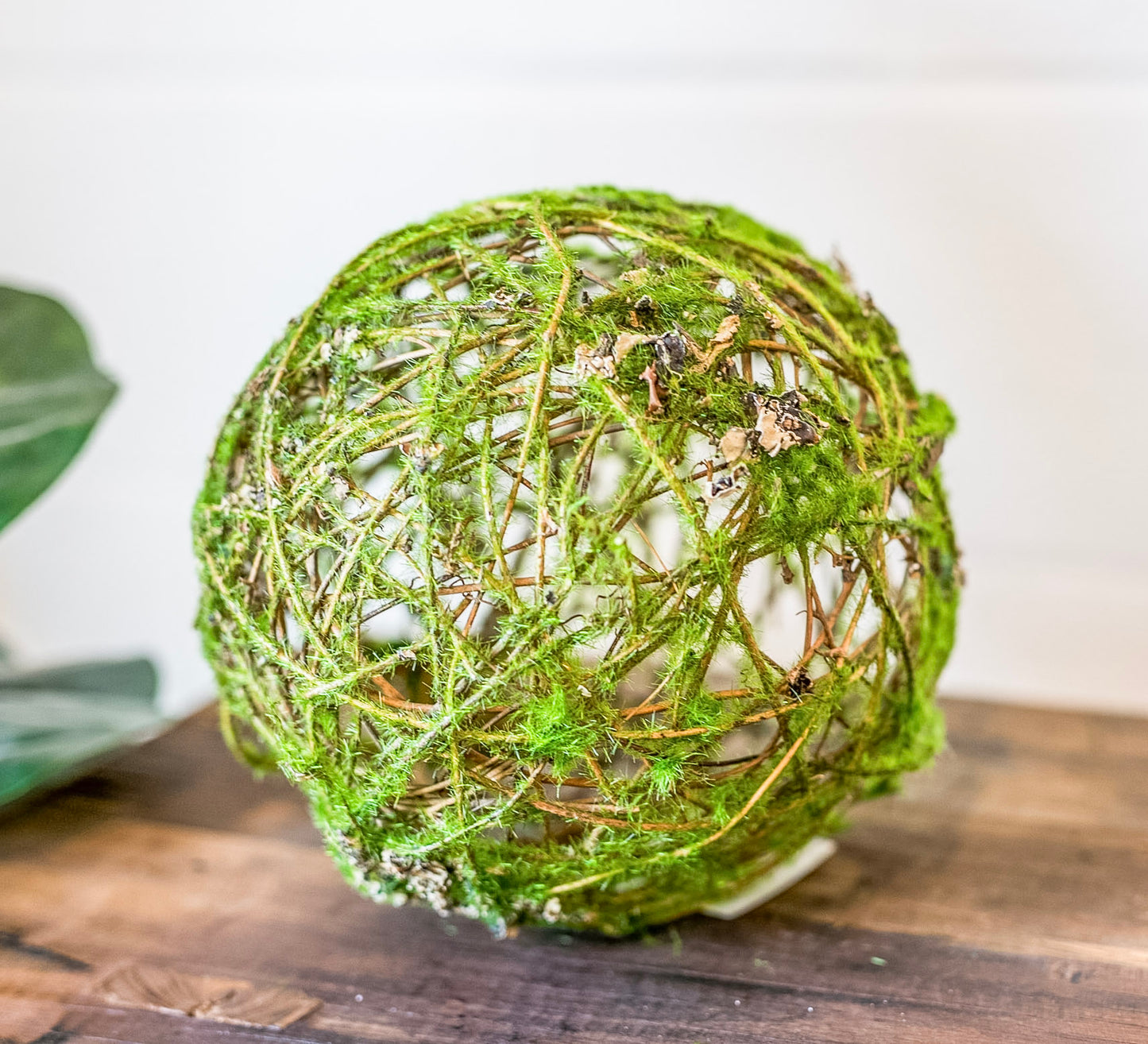 Moss-Wrapped Twig Orb