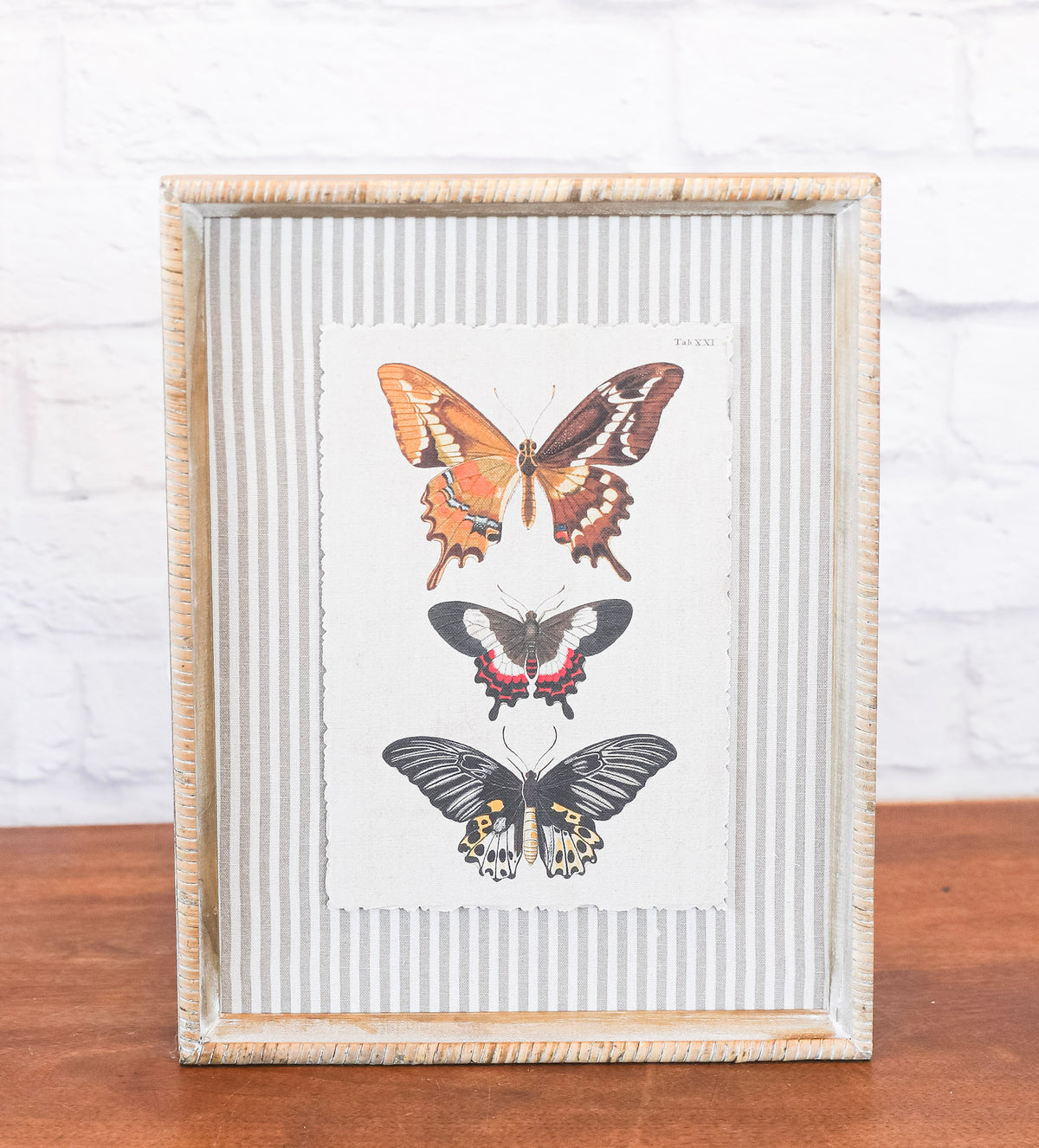 The Butterfly Collection