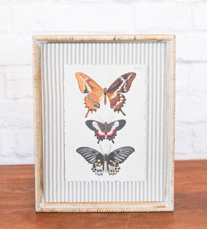 The Butterfly Collection
