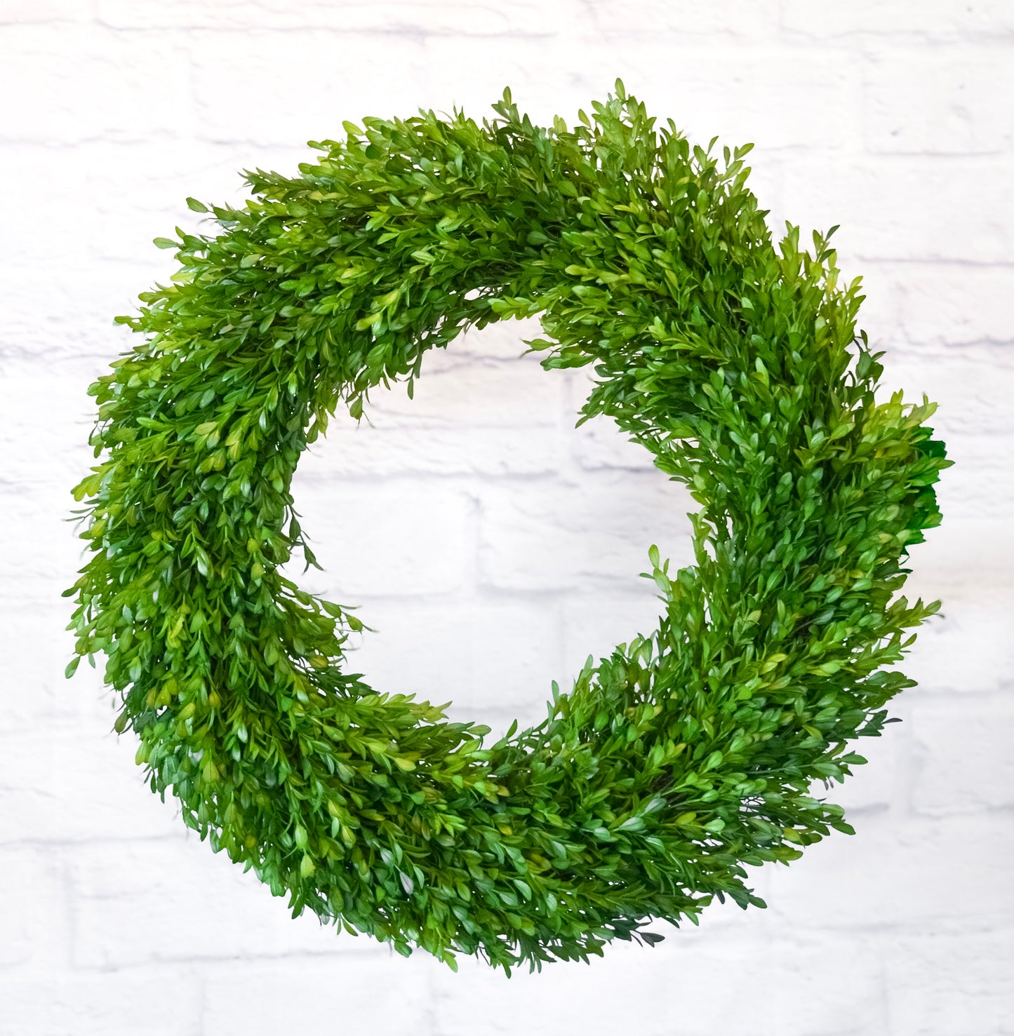 Fig & Dove Faux Boxwood Wreath