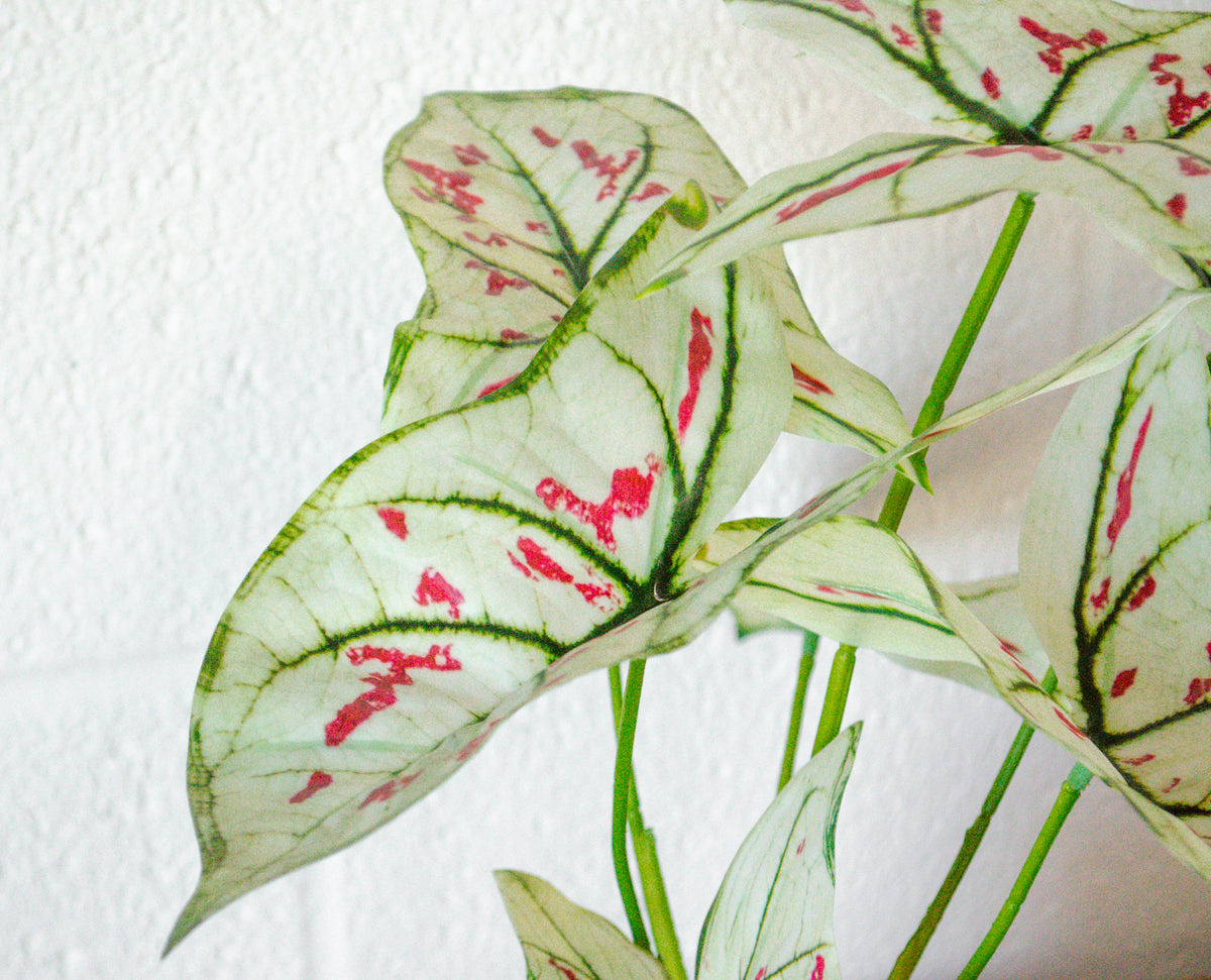 Faux Elephant Ear Potted Plant