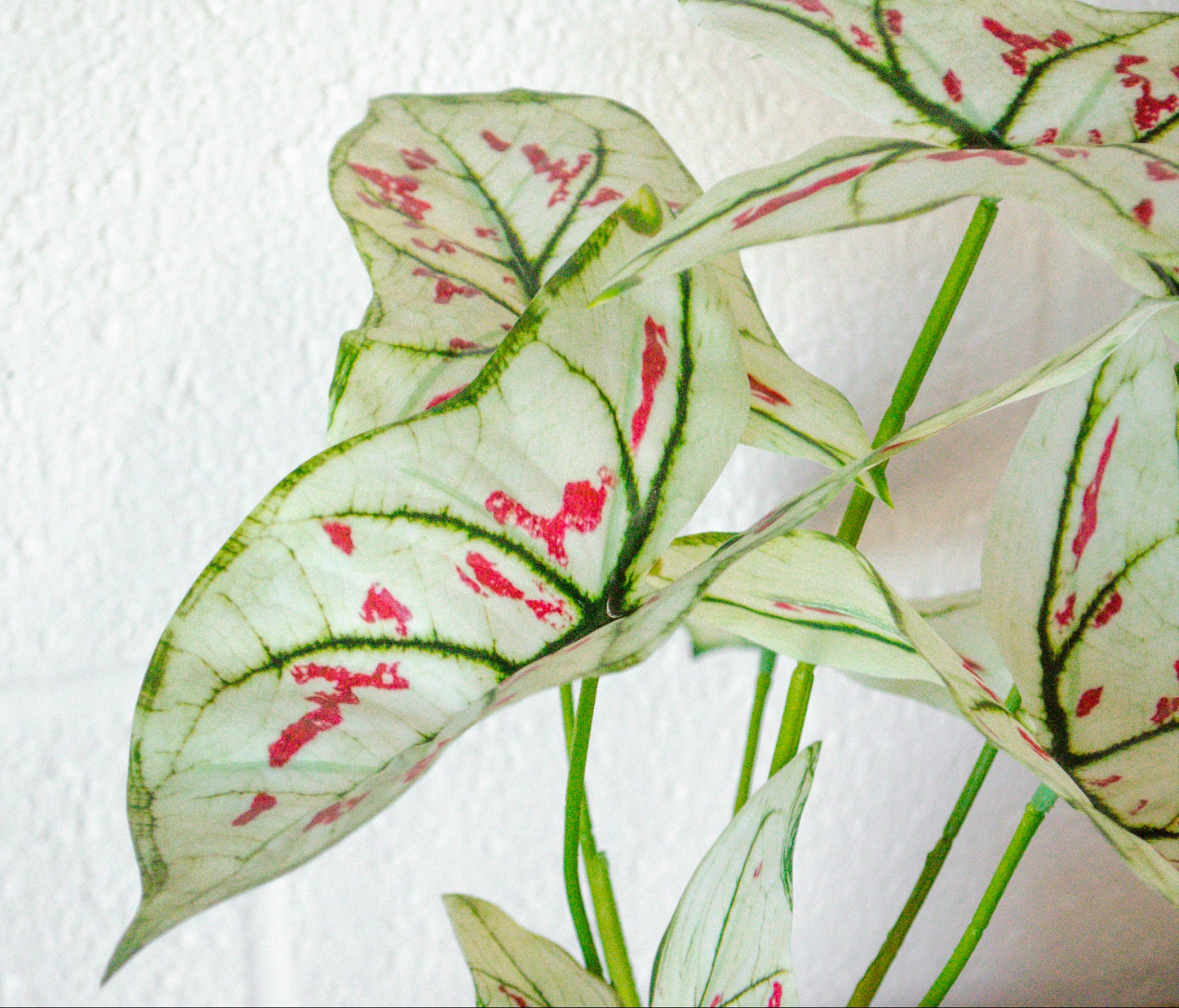 Faux Elephant Ear Potted Plant