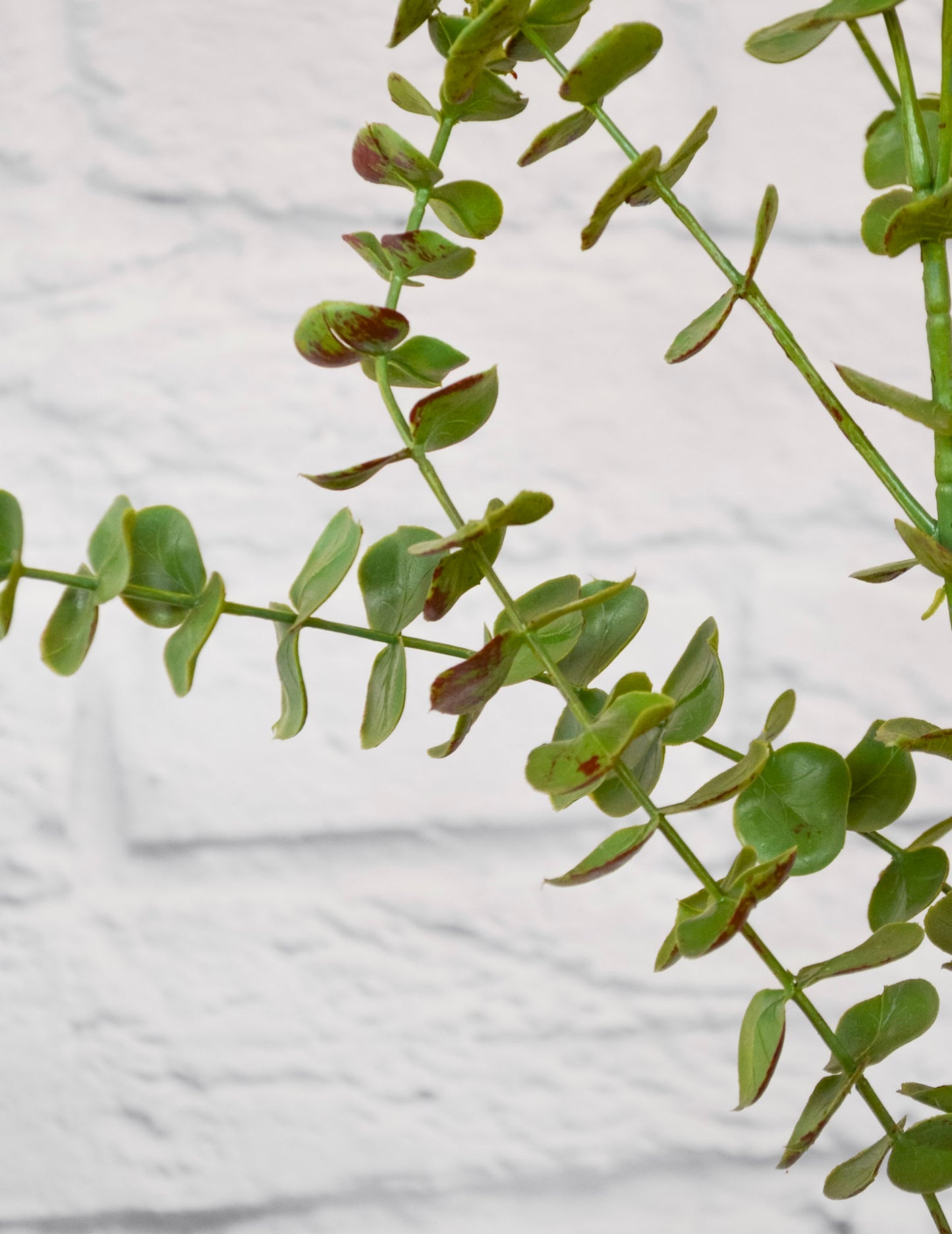 Faux Eucalyptus Stem