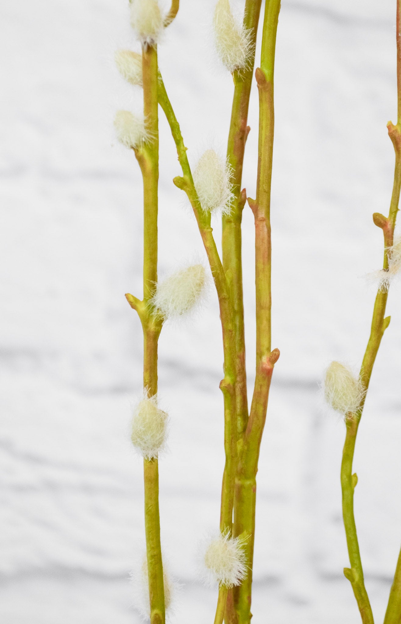Faux Pussywillow Bundle