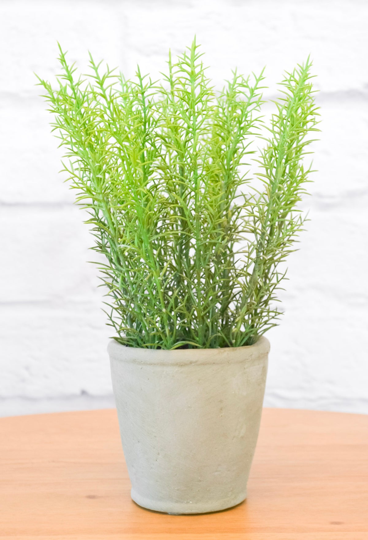 Faux Herb in Cement Pot