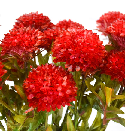 Faux Ball Dahlia Bundle