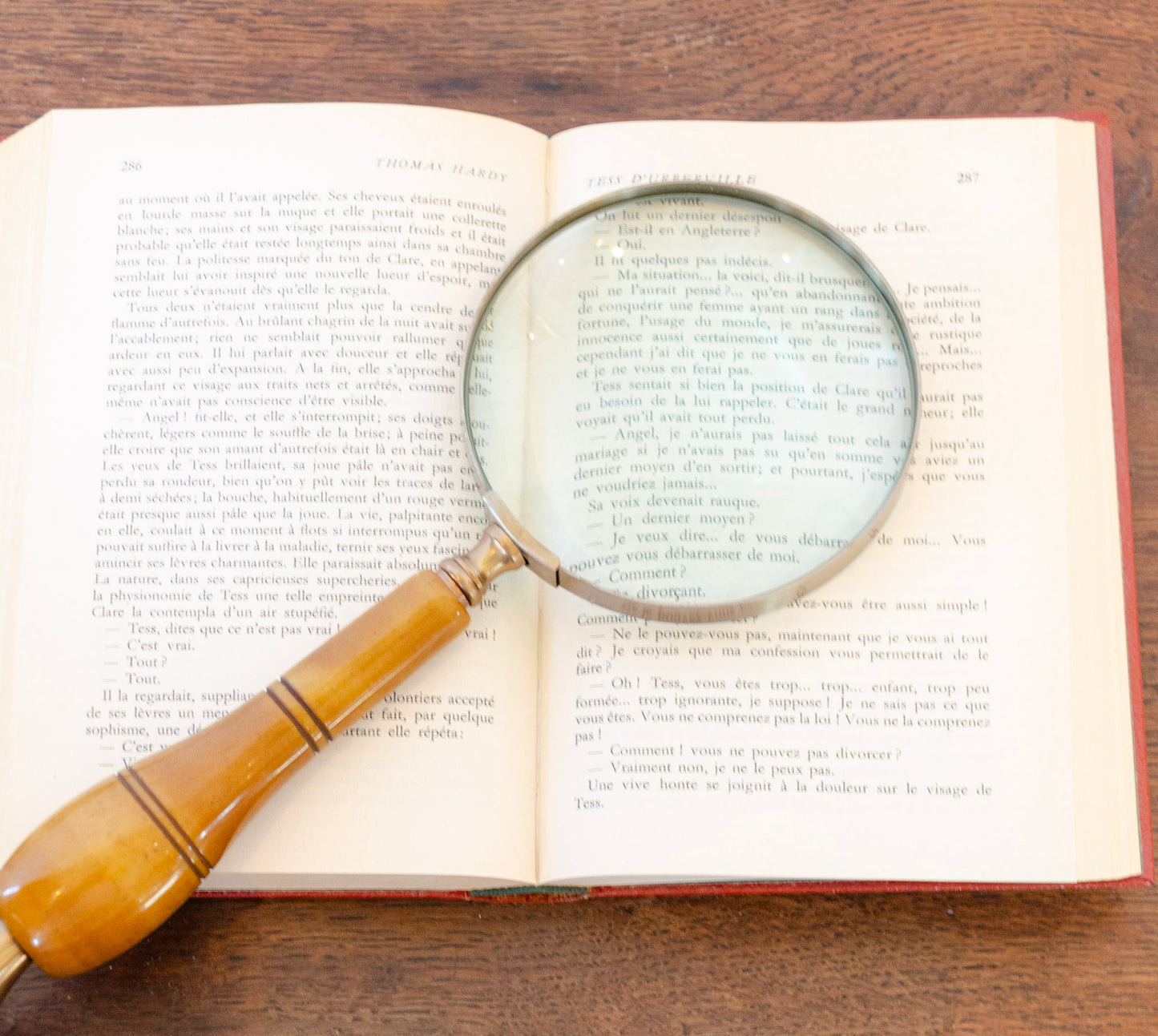 Curio Bone & Brass Magnifying Glass