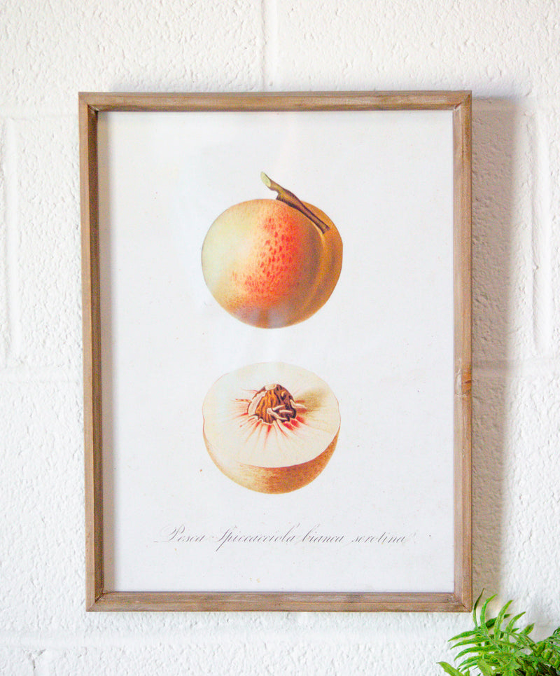 Vintage Inspired Wood & Glass Framed Fruit Print