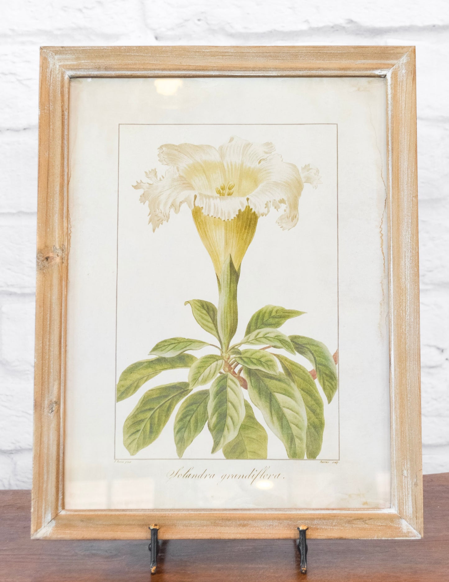 Wood Framed Floral Wall Decor