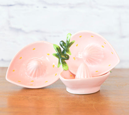 Sweet Strawberry Juicer