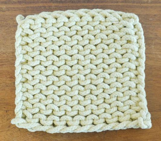Desert Bloom Crochet Pot Holders