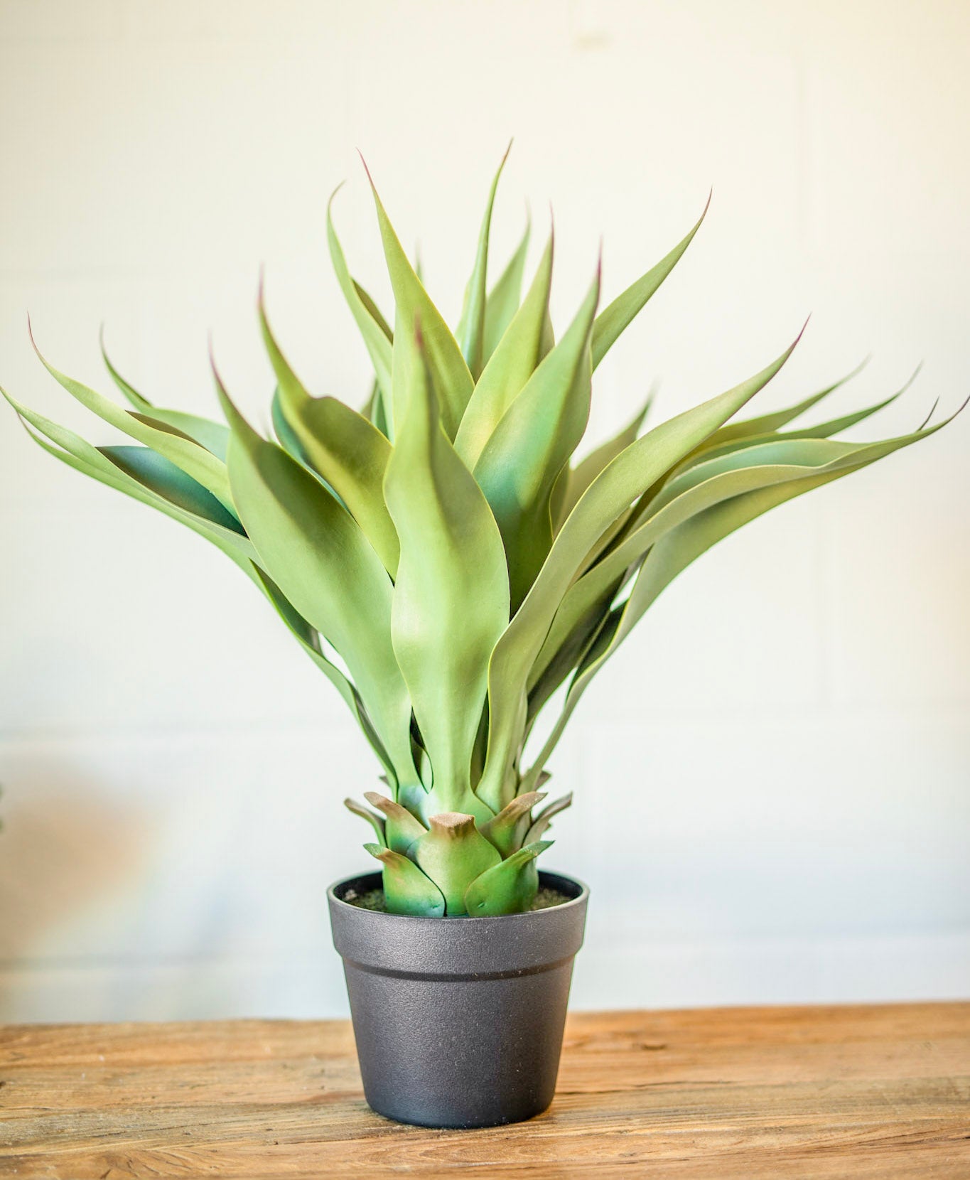 Faux Agave Plant in Pot